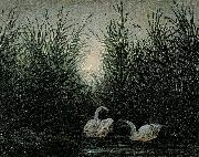 Caspar David Friedrich Schwane im Schilf oil painting reproduction